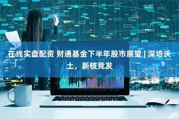 在线实盘配资 财通基金下半年股市展望 | 深培沃土,新枝竞发