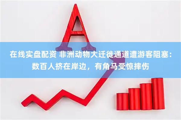 在线实盘配资 非洲动物大迁徙通道遭游客阻塞：数百人挤在岸边，有角马受惊摔伤