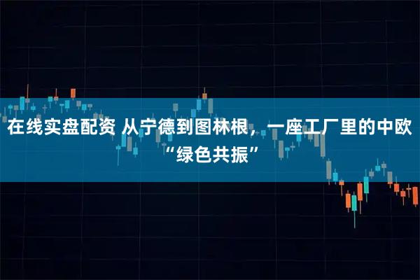在线实盘配资 从宁德到图林根,一座工厂里的中欧“绿色共振”