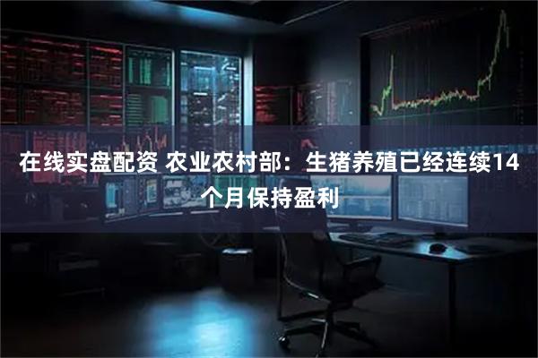 在线实盘配资 农业农村部：生猪养殖已经连续14个月保持盈利